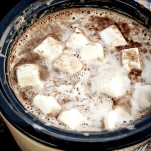 Easy Crockpot Hot Chocolate Recipe