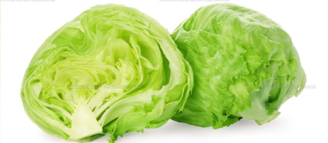 Iceberg Lettuce