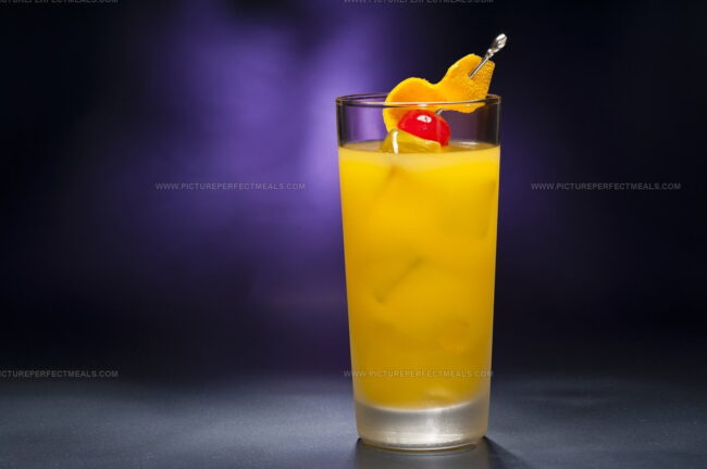 Black-Eyed Susan