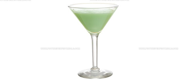 Grasshopper
