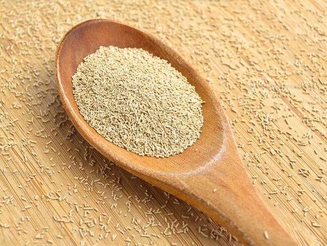 What is Active Dry Yeast?