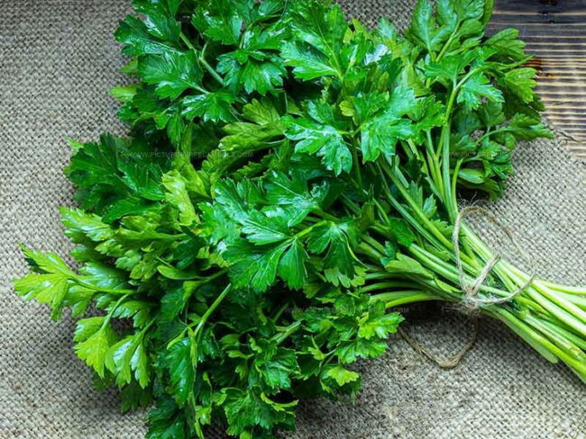What Parsley Brings to the Table