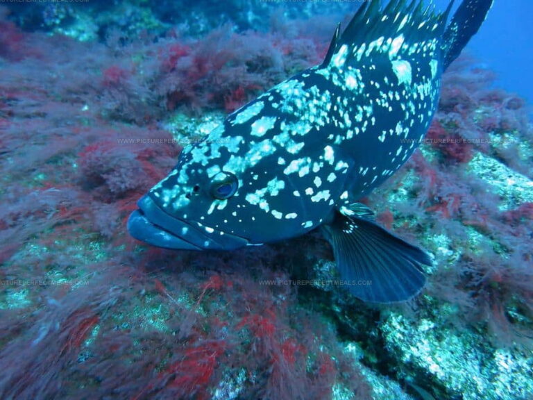 What Does Grouper Taste Like? Find Out Why It's a Seafood Hit!