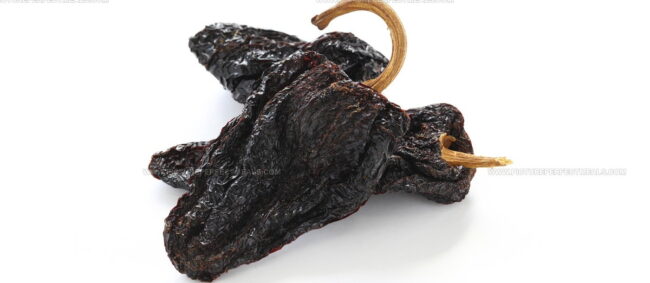 Ancho Chile Pepper
