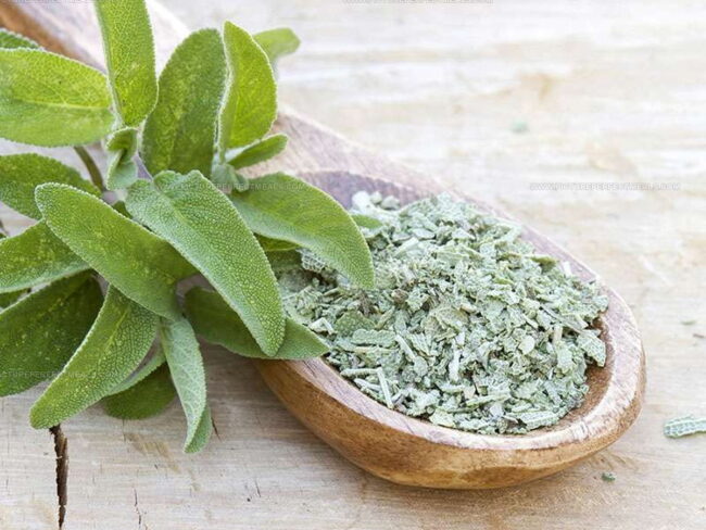 Common Mistakes to Avoid for Basil Alternatives
